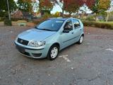 Fiat Punto 1.2l TÜV Neu - gebrauchte Fiat Punto aus dem Jahr 2003