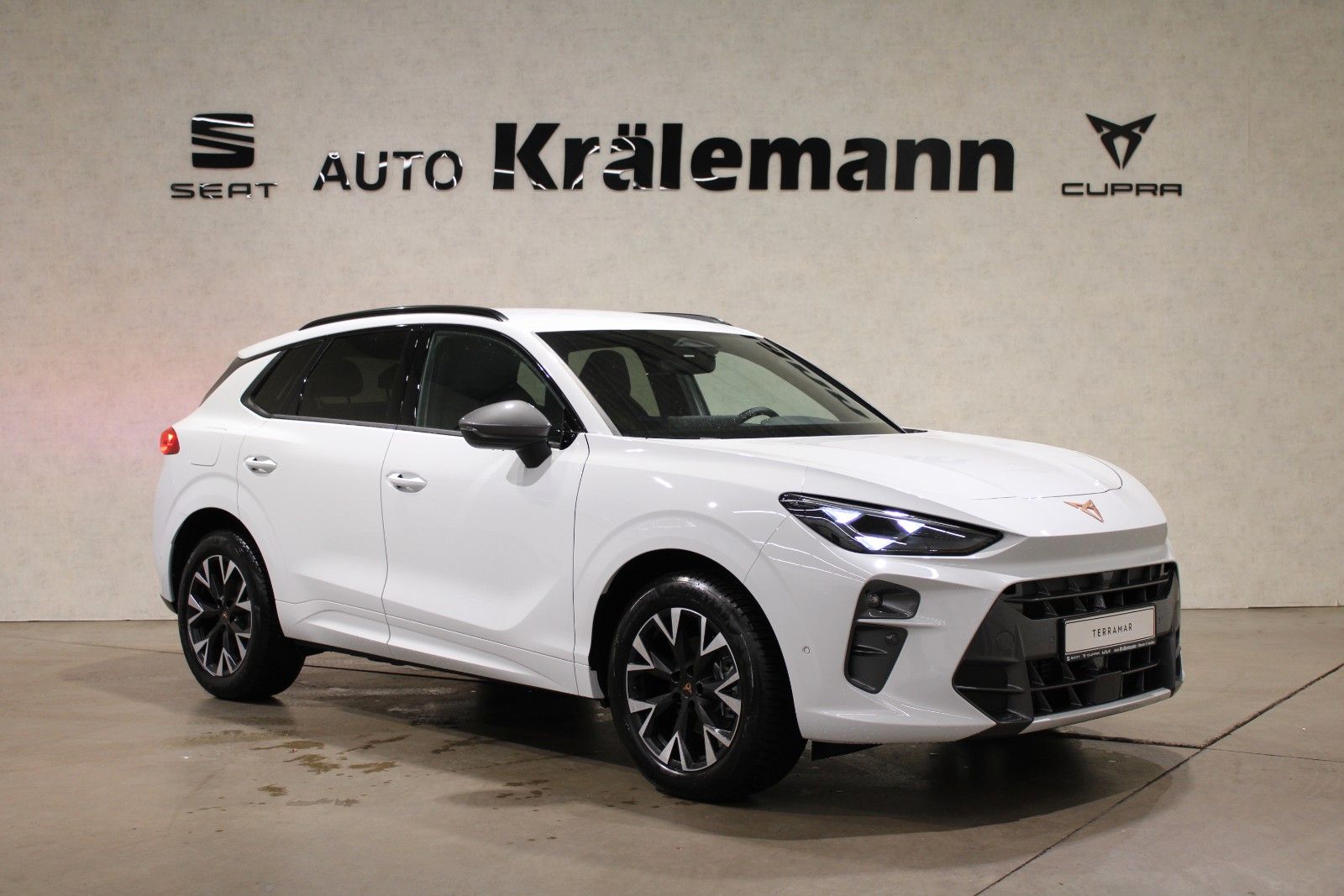 Cupra Terramar 1.5 eTSI 110kW DSG*AHK*HUD*Navi*LED*
