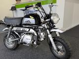Skyteam Gorilla  125 ccm 1.Hand - SKYTEAM 125