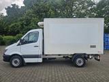 Mercedes-Benz Sprinter 313 CDI  Thermo King V300Max/Euro5 - Mercedes-Benz 300cd