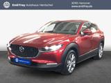 Mazda CX-30 e-SKYACTIVE G 122 EXCLUSIVE-LINE 90 kW, 5- - Mazda CX-30 Tageszulassungen