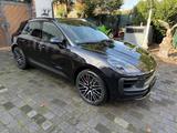 Porsche Macan GTS 1Hd Chrono Panorama BOSE Approved 24M - Porsche Gebrauchtwagen in Dinslaken