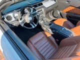 Ford Mustang GT Cabrio - Ford Mustang aus 2011
