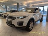 Land Rover Range Rover Evoque Pure *4x4*PDC*KAMERA*BT* - Land Rover Range Rover Evoque in Mainz