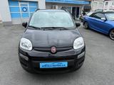 Fiat Panda Pop Top Gepflegt Lückenlose Serviceheft!!! - Fiat Panda aus 2014