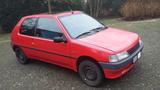 Peugeot 106 - gebrauchte Peugeot 106 aus dem Jahr 1995