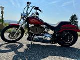 Harley-Davidson softail custom fxstc - HARLEY-DAVIDSON FXST