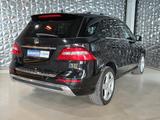 Mercedes-Benz ML 350 CDI BlueTec AMG Sport Paket - Mercedes-Benz: AMG Ml
