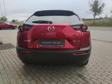 Mazda MX-30 R-EV MAKOTO GSD 360° BOSE Matrix el Sitze  - Mazda MX-30 mit Schiebedach