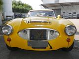 Austin Healey 3000 MK1 BN7 1959, Renn-Rallye Fahrzeug - Austin Healey: Mk1