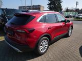Ford Kuga Hybrid Titanium 4x4 ACC AHK 2100 kg - Ford Kuga: Allradantrieb, Titanium