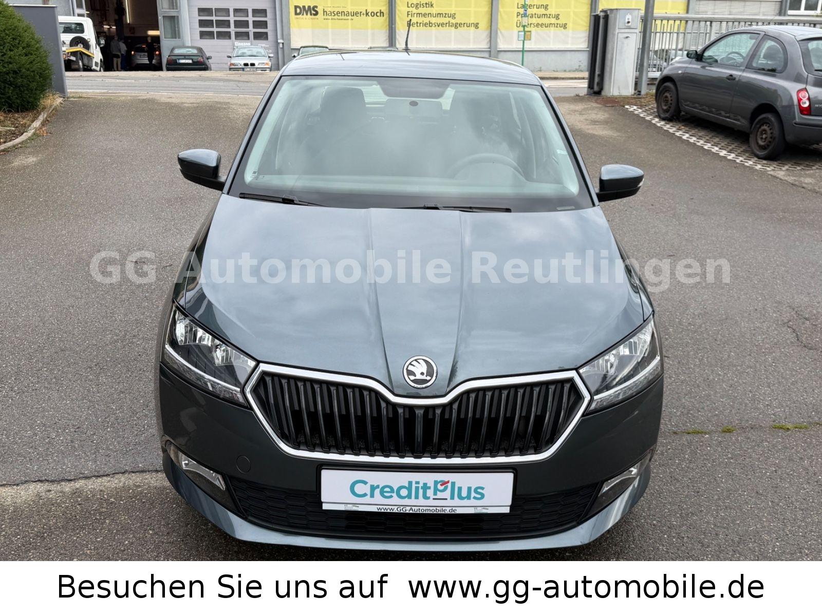 Skoda Fabia Cool Plus| 8 Fach bereift|Service neu