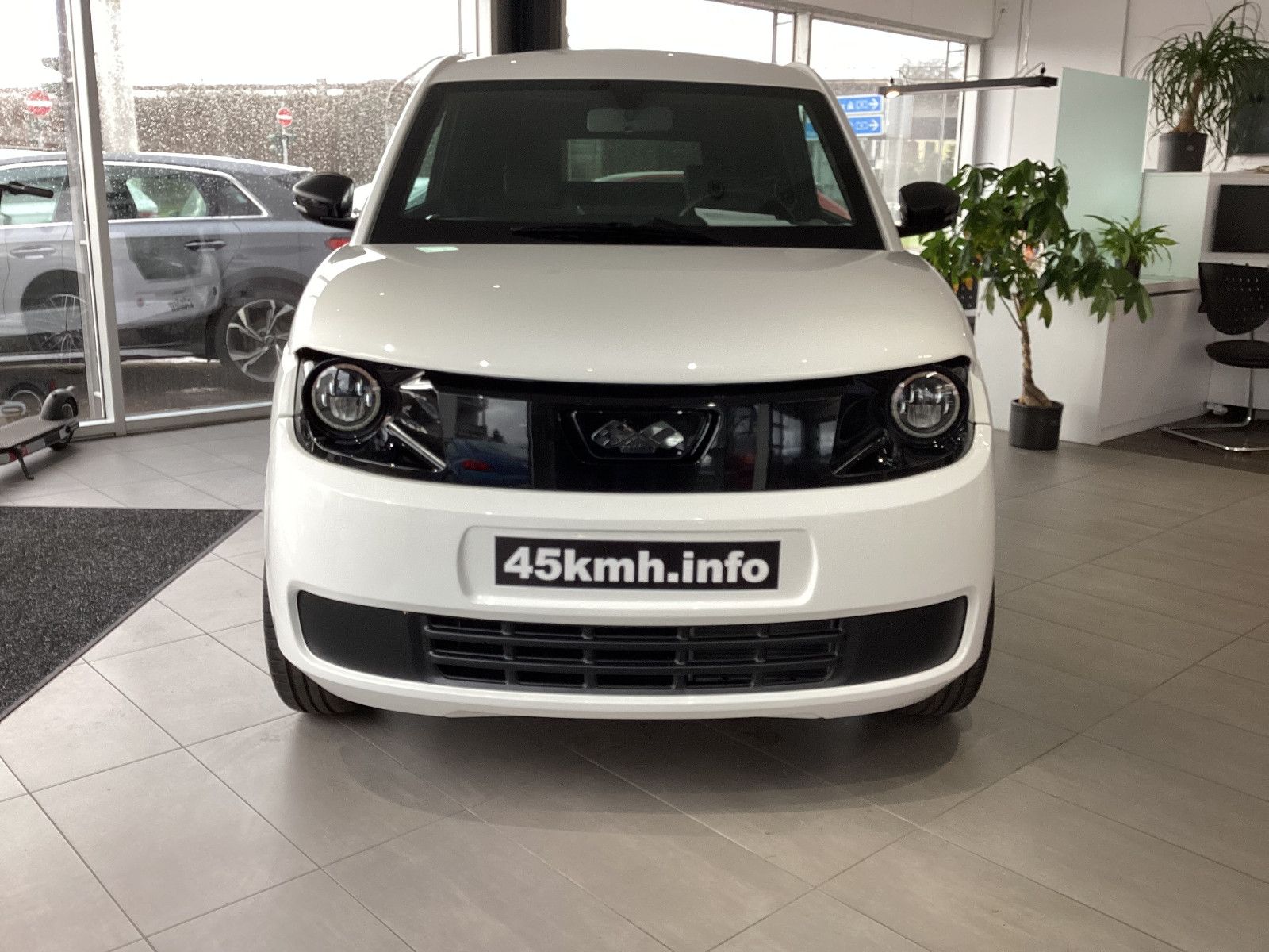 Fahrzeugabbildung Ligier Myli Rückfahrkamera Sitzheitzung Carplay