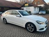 Mercedes-Benz E 220 CDI AVANTGARDE*Facelift*4xSHZ*S-Dach*ACC* - Mercedes-Benz E 220 mit Diesel-Antrieb: Vollleder, Limousine