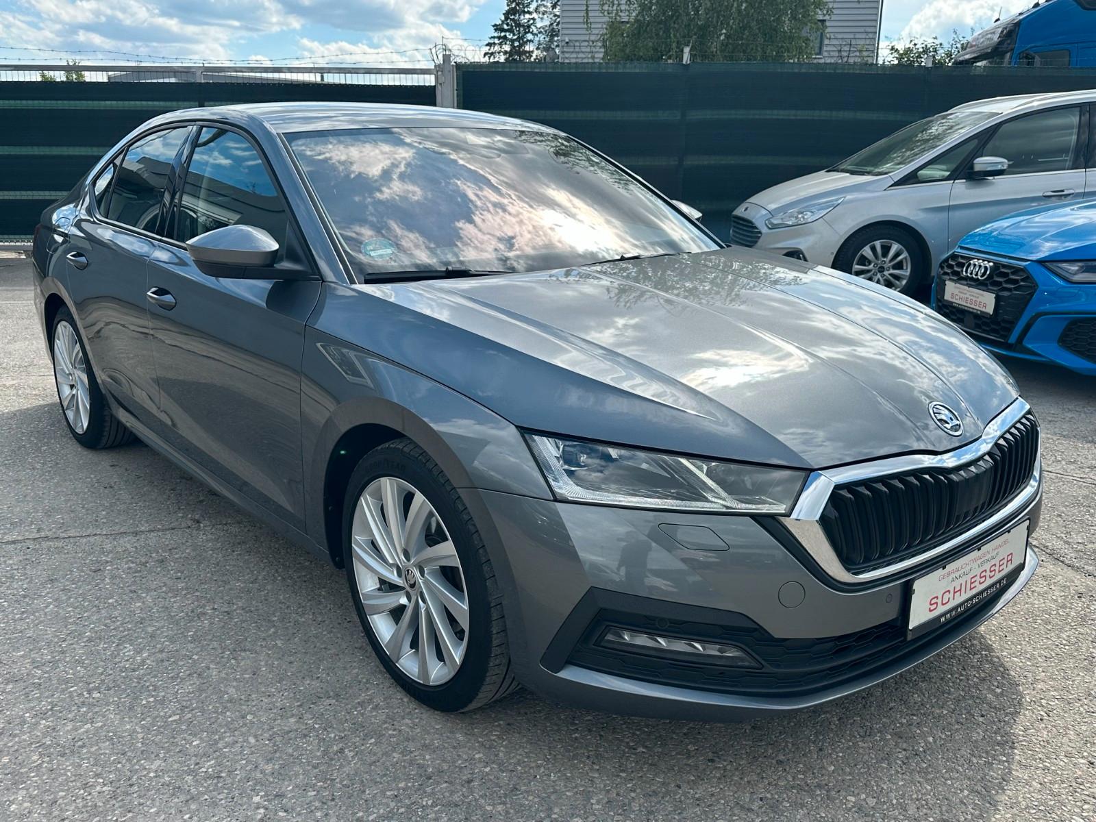 Skoda Octavia 2,0 TDI 4x4 DSG Leder Navi Kamera 4xSitz