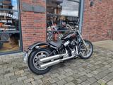 Harley-Davidson Softail Standard FXST  Drosselung - Offers