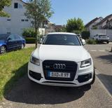 Audi SQ5 3.0 V6 TDI quattro Competition *s-heft* - Audi: Geländewagen, Q6