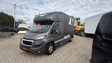 Peugeot Boxer Hagstedt für 2 x Pferde - Tier- & Pferdetransport für 2 Pferde