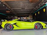 Lamborghini Aventador SVJ Roadster*1*Owner*Special*Paint - Lamborghini Aventador: Sv