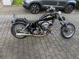 Harley-Davidson FLH
