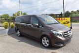 Mercedes-Benz V 250 d 4-Matic Long 7PL Avantgarde ***12M GARAN - Mercedes-Benz: V12
