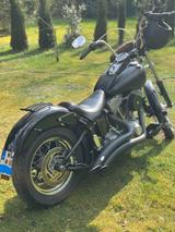 Harley-Davidson Softail Standart Twin Cam - HARLEY-DAVIDSON 2003 SOFTAIL
