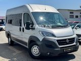 Fiat Ducato Maxi 35 150 L2H2 9-SITZER+HOCH+LANG+R.KAM - Fiat Ducato: L1h2