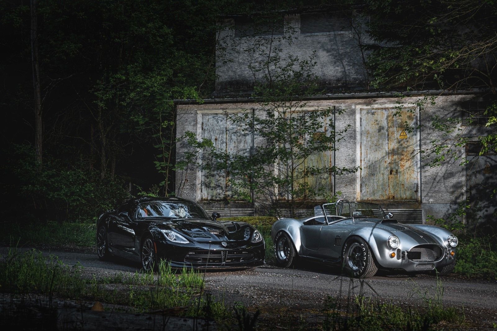 Fahrzeugabbildung Cobra FORD 5.0l V8 Traum Optik Original