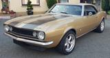 Chevrolet Camaro 1967 TOP-Zustand vollrestauriert mit H 