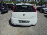 Fiat Grande Punto 1.2 8V ~ TÜV und Service Neu ~ - Fiat Grande Punto aus 2012