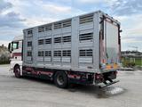 MAN TGX - Angebote