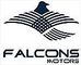 FALCONS MOTORS NV