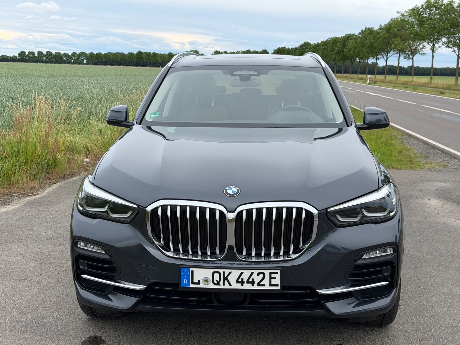 BMW X5 xDrive45e Pano Leder Luftfeder