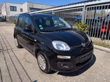 Fiat Panda Lounge - gebrauchte Fiat Panda aus dem Jahr 2016