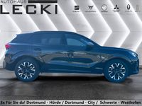 Cupra Terramar - Vorschau Bild 2