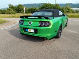Ford Mustang GT/CS 2013 - Cabrio - Schalter - Ford Mustang: Privatanbieter