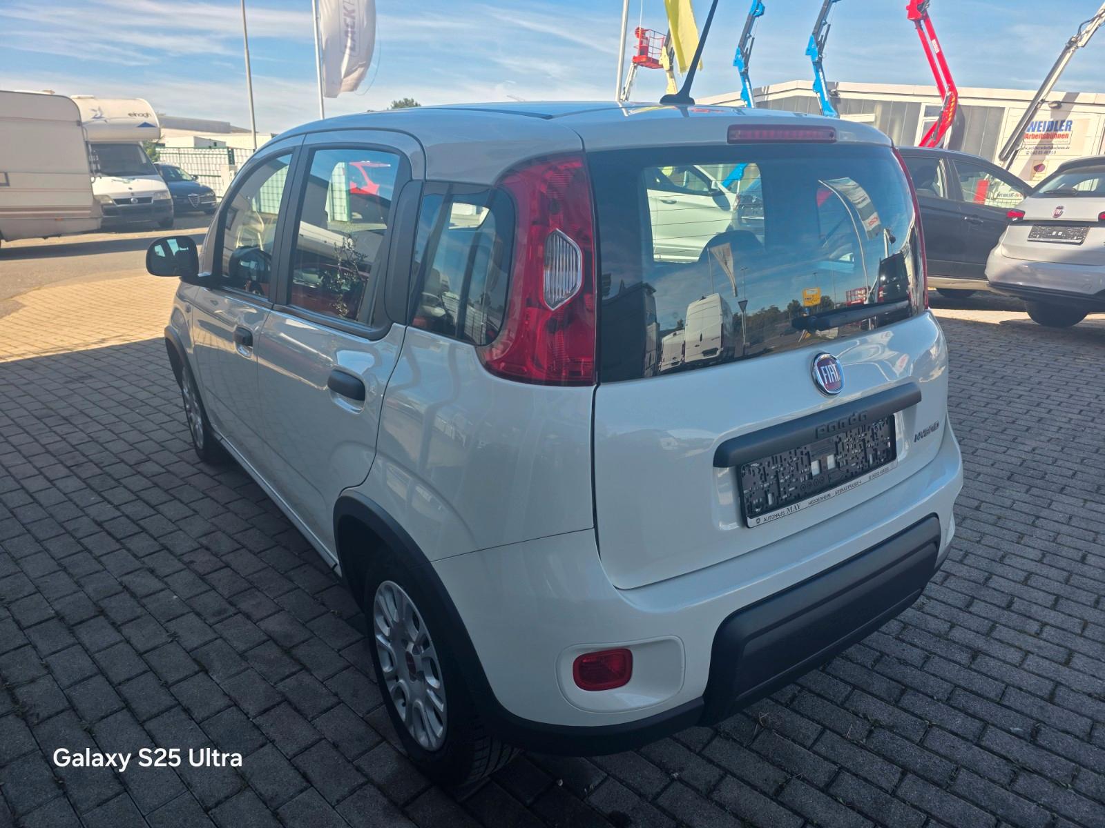 Fiat Panda Base
