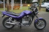 Suzuki VX800  - SUZUKI VX 800
