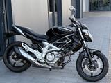 Suzuki SFV 650 Gladius *tiefer gelegt*Top Zustand* - Offers matching your search criteria