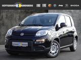 Fiat Panda Pandina Pop Mild EU6e MY25 Hybrid 1.0 GSE  - Fiat Panda Neuwagen: Eu