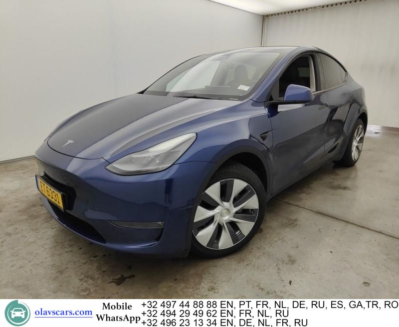 Tesla Model Y Long Range AWD Pano Aut. LED Navi Leath