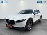 Mazda CX-30 e-SKYACTIV-X 2.0 SELECTION,NAVI,LED,PDC - Mazda CX-30 in Stuttgart