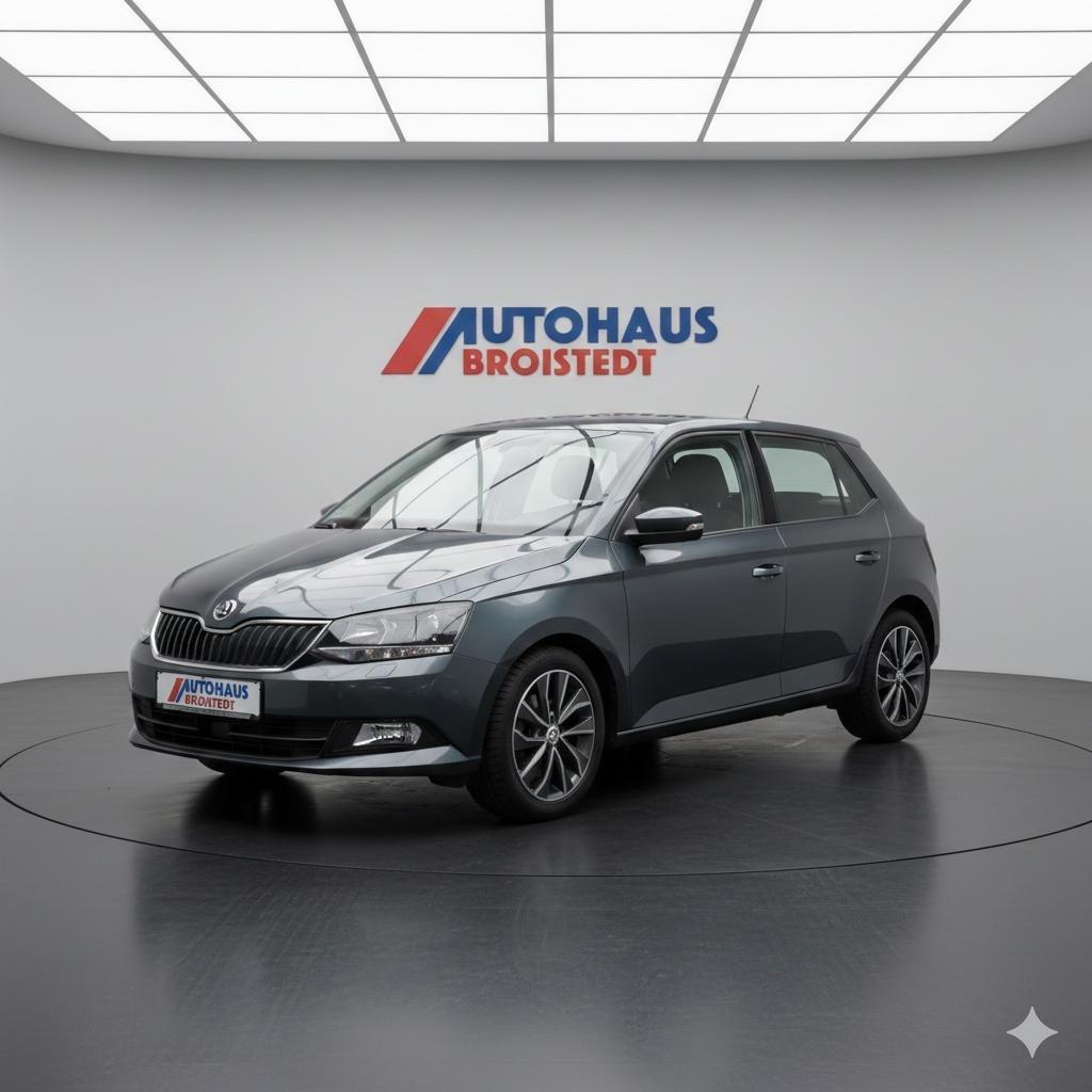 Skoda Fabia Drive * Alu * Navi * Klima * PDC *