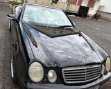 Mercedes-Benz Mercedes Benz CLK 230 Kompressor EVO SPECI... - Mercedes-Benz CLK 230: Merc