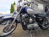 Harley-Davidson Sportster XLH 1200 C - HARLEY-DAVIDSON XLH