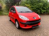 Peugeot 1001 1.4 Benziner Euro 4 - Peugeot 1007: 1.4