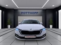 Skoda Octavia - Vorschau Bild 8