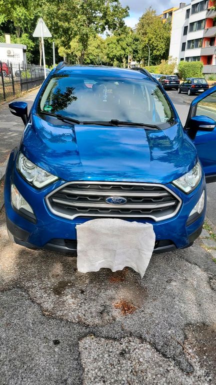 Image of Ford EcoSport