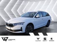Skoda Octavia - Vorschau Bild 1