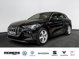 Audi e-tron 50 quattro advanced S-line Kam. Navi LED - Audi e-tron: Teilleder